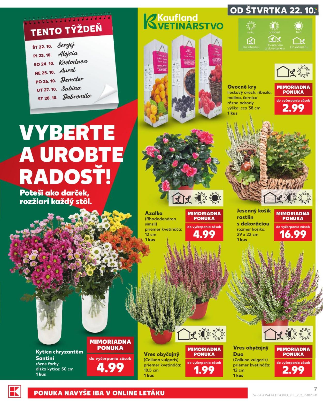 Leták Kaufland - 22.10.2026 - 28.10.2026. Strana 7
