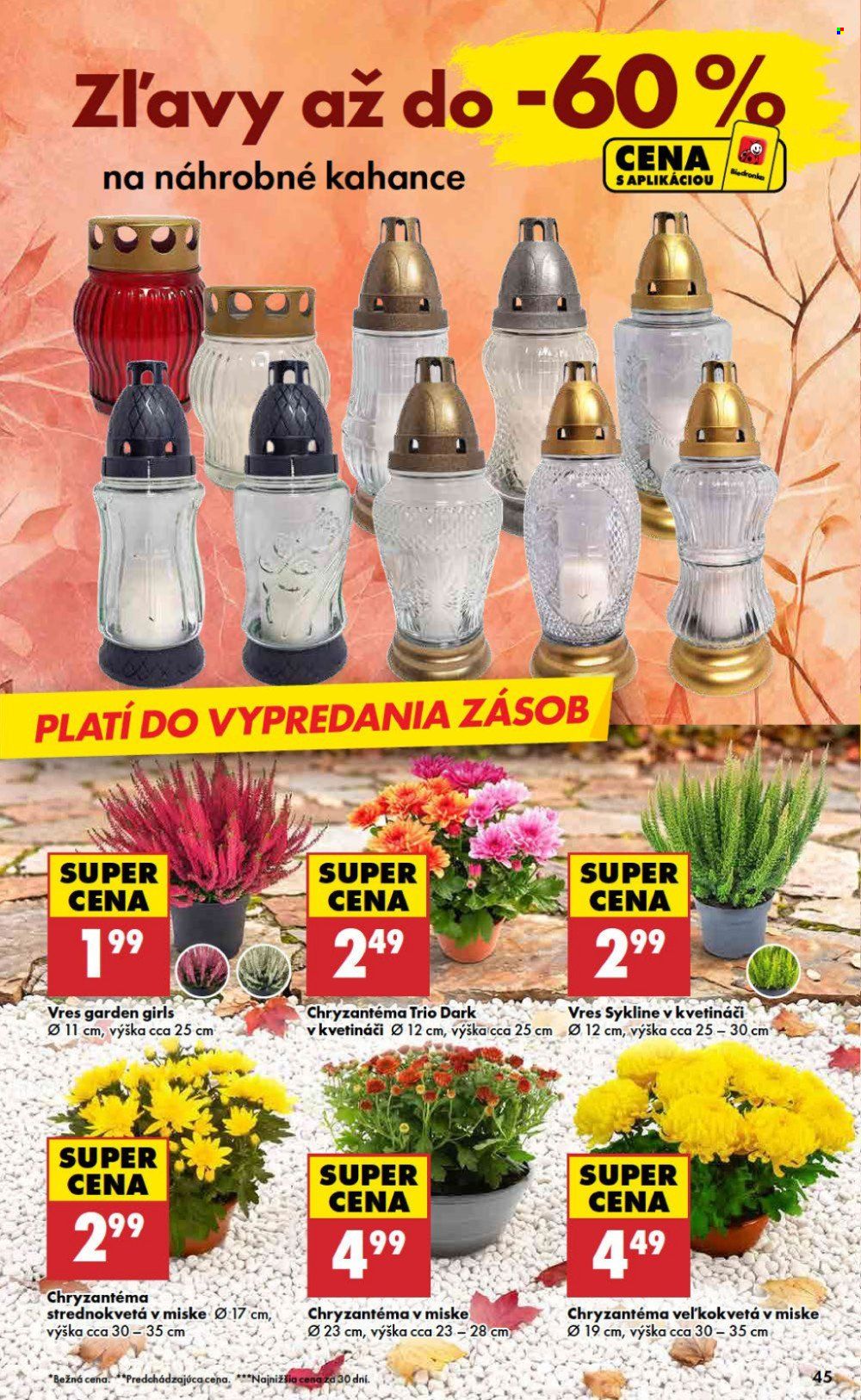 Leták Biedronka - 29.10.2026 - 4.11.2026. Strana 45